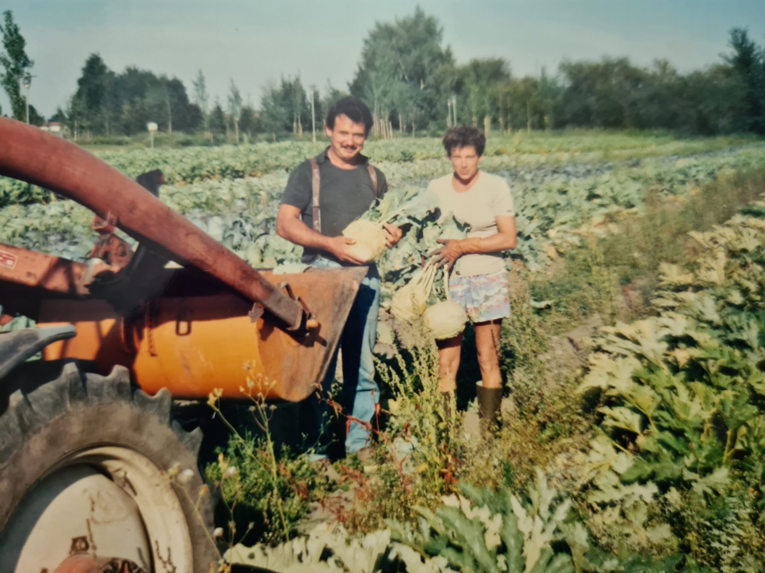 So sah die Feldarbeit früher aus für Ludwig und Anne Beck.