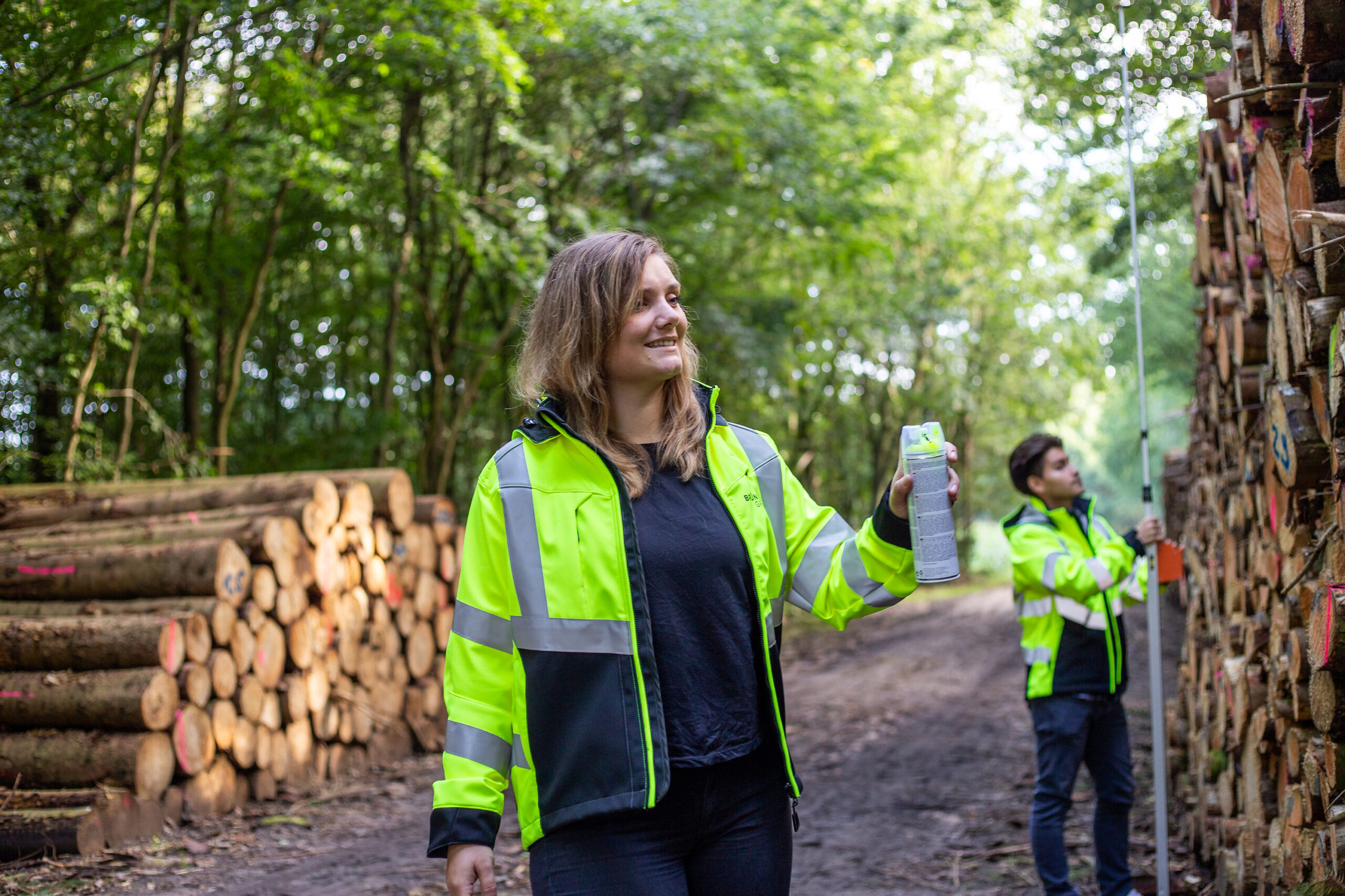 Vom Wald ins Kraftwerk: Die Brüning Group versorgt Biomassekraftwerke mit den benötigten Brennstoffen, wie zum Beispiel Waldholzhackschnitzel und Holzpellets.